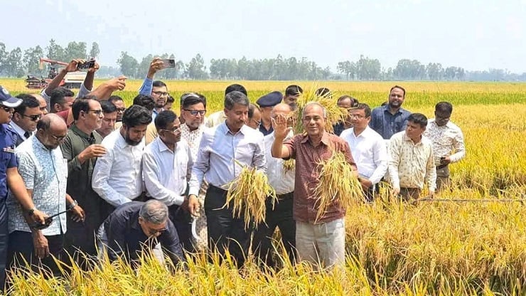 ভয়ের কোনো কারণ নেই, আমাদের সীমান্ত সম্পূর্ণ নিরাপদ রয়েছে: স্বরাষ্ট্র উপদেষ্টা