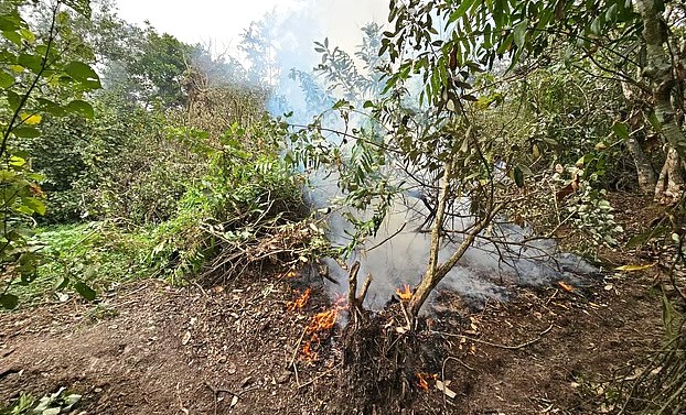 সুন্দরবনে আগুনের প্রকোপ কমছে,কাজ করছে ফায়ার সার্ভিসের ৬ ইউনিট