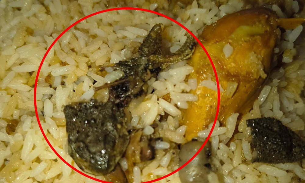 মোরগ পোলাওয়ের প্যাকেটে আস্ত ব্যাঙ, বিরিয়ানি হাউজকে জরিমানা