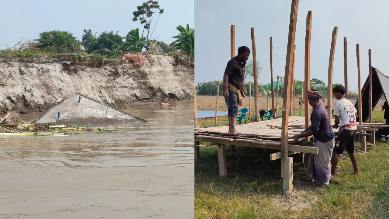 পদ্মায় ভাঙন, বসতঘর সরাতে বাধ্য হচ্ছে স্থানীয়রা