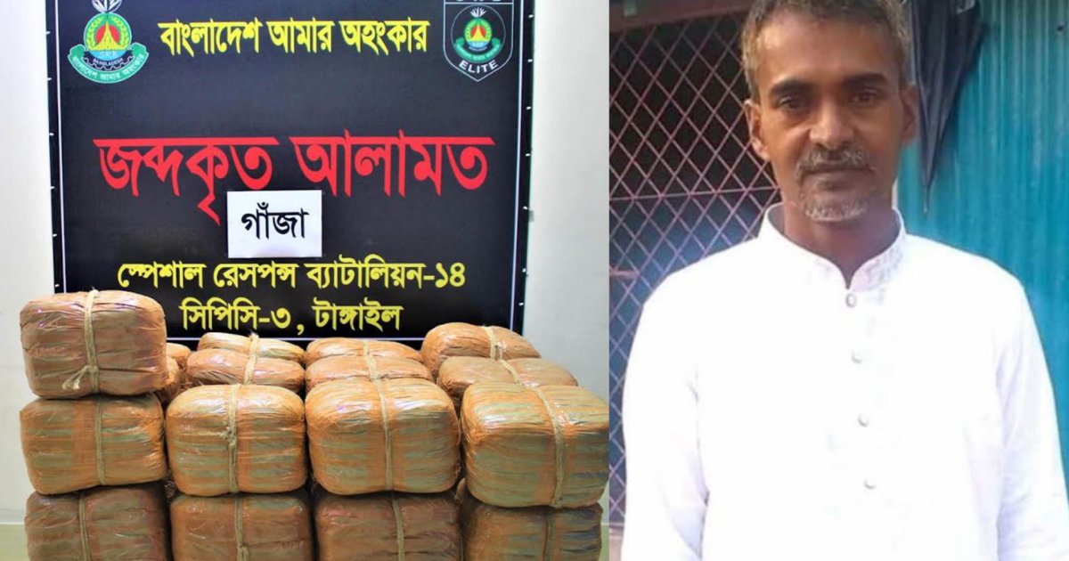 টাঙ্গাইলে ১০০ কেজি গাঁজাসহ কৃষক দলের নেতা গ্রেপ্তার