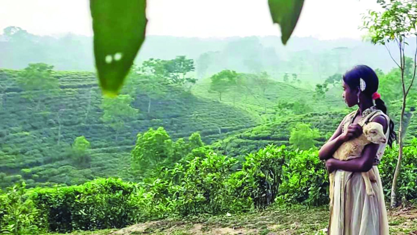 যুক্তরাষ্ট্রে পুরস্কার জিতলো বাংলাদেশের ‘নিশি’