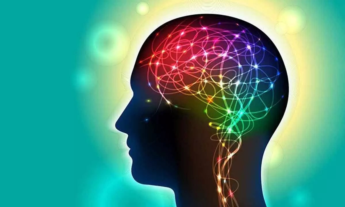 হাজার হাজার স্মৃতি জমা থাকবে, মস্তিষ্কে বসানো যাবে স্মৃতি সংরক্ষণের যন্ত্র