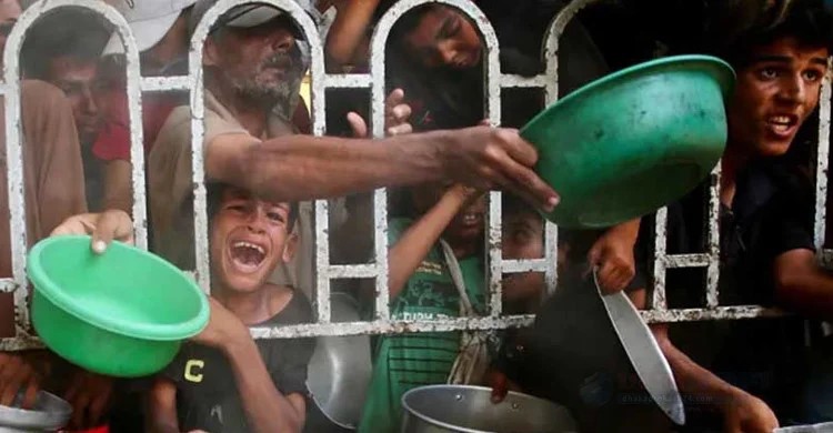 গাজায় একদিনে ৮০ ফিলিস্তিনি নিহত, অনাহারে মৃত্যু ১৪ জনের