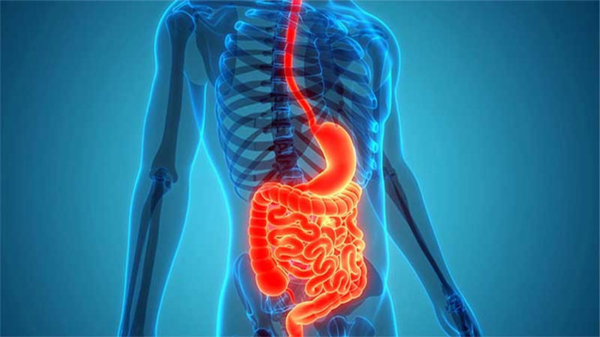 হজমশক্তি বাড়াতে মেনে চলুন সহজ কিছু টিপস