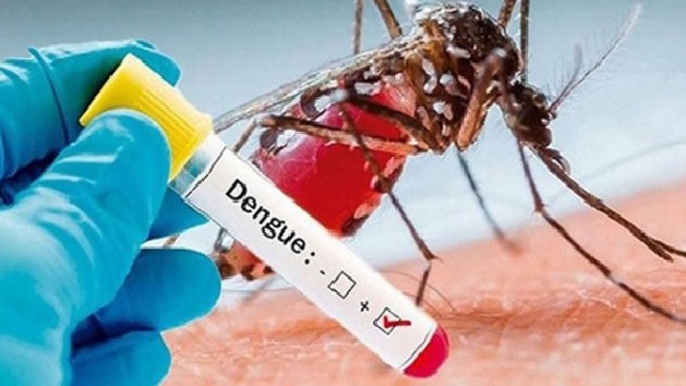 ডেঙ্গুতে ২৪ ঘণ্টায় ছয় মৃত্যু, হাসপাতালে নতুন ভর্তি ২ হাজার ৮৯ জন