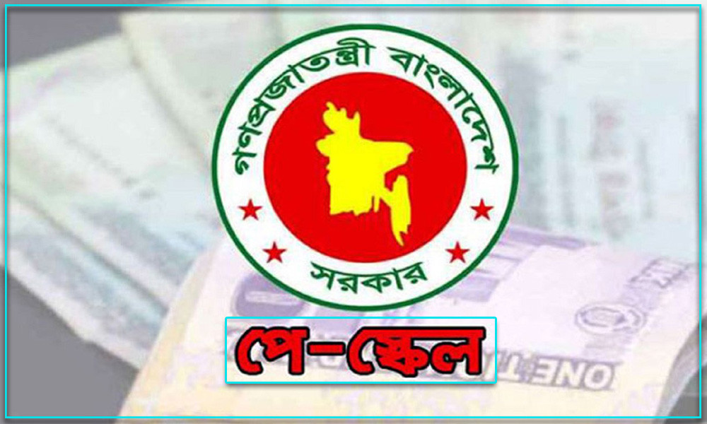 পে স্কেল নিয়ে সরকারি চাকরিজীবীদের নতুন পরিকল্পনা