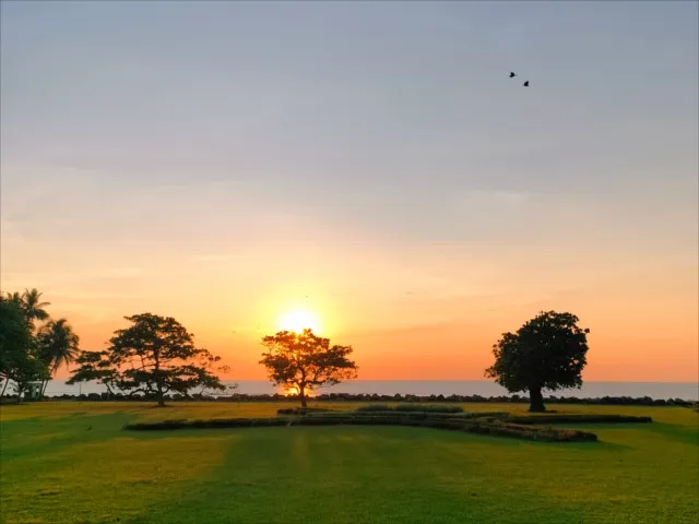 হেমন্তের আগমন: প্রকৃতির রূপ বদল