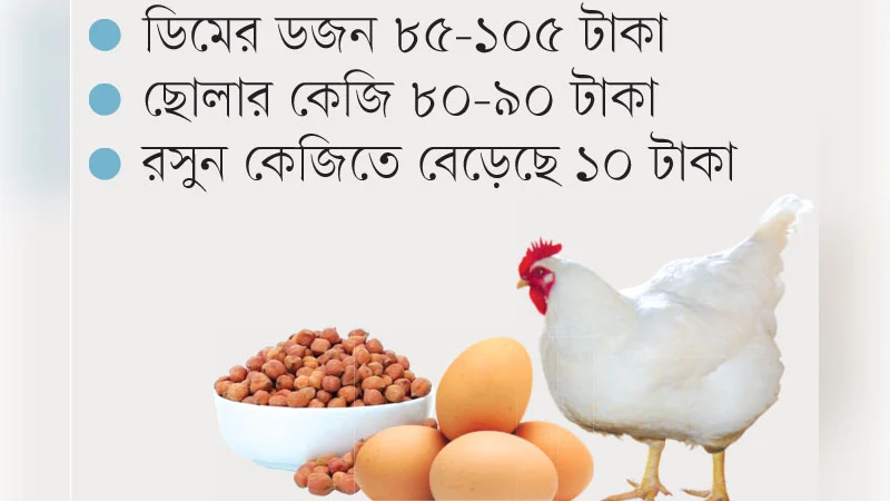 ব্রয়লার মুরগির দাম আবার বেড়েছে