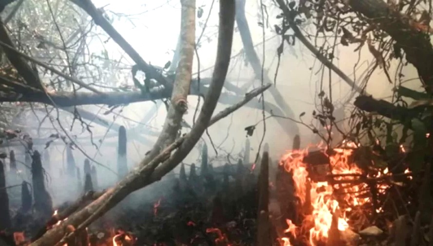 সুন্দরবনের গহীনে আগুন,এখনো পুড়ছে সুন্দরবন