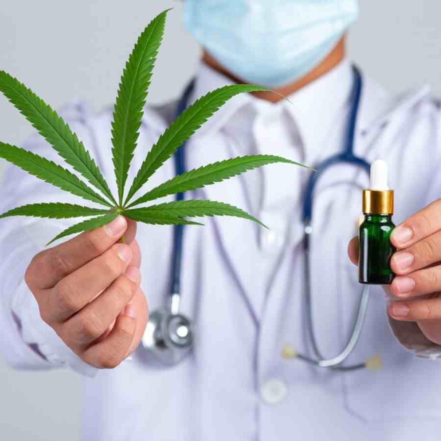 গাঁজা পাতায় ক্যানসারের চিকিৎসা? নতুন আশার আলো দেখছেন গবেষকেরা