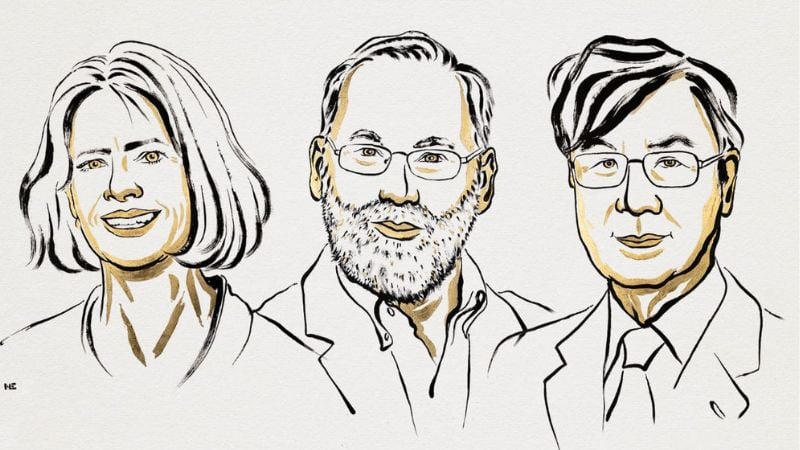 চিকিৎসায় নোবেল পেলেন যুক্তরাষ্ট্র ও জাপানের তিন বিজ্ঞানী