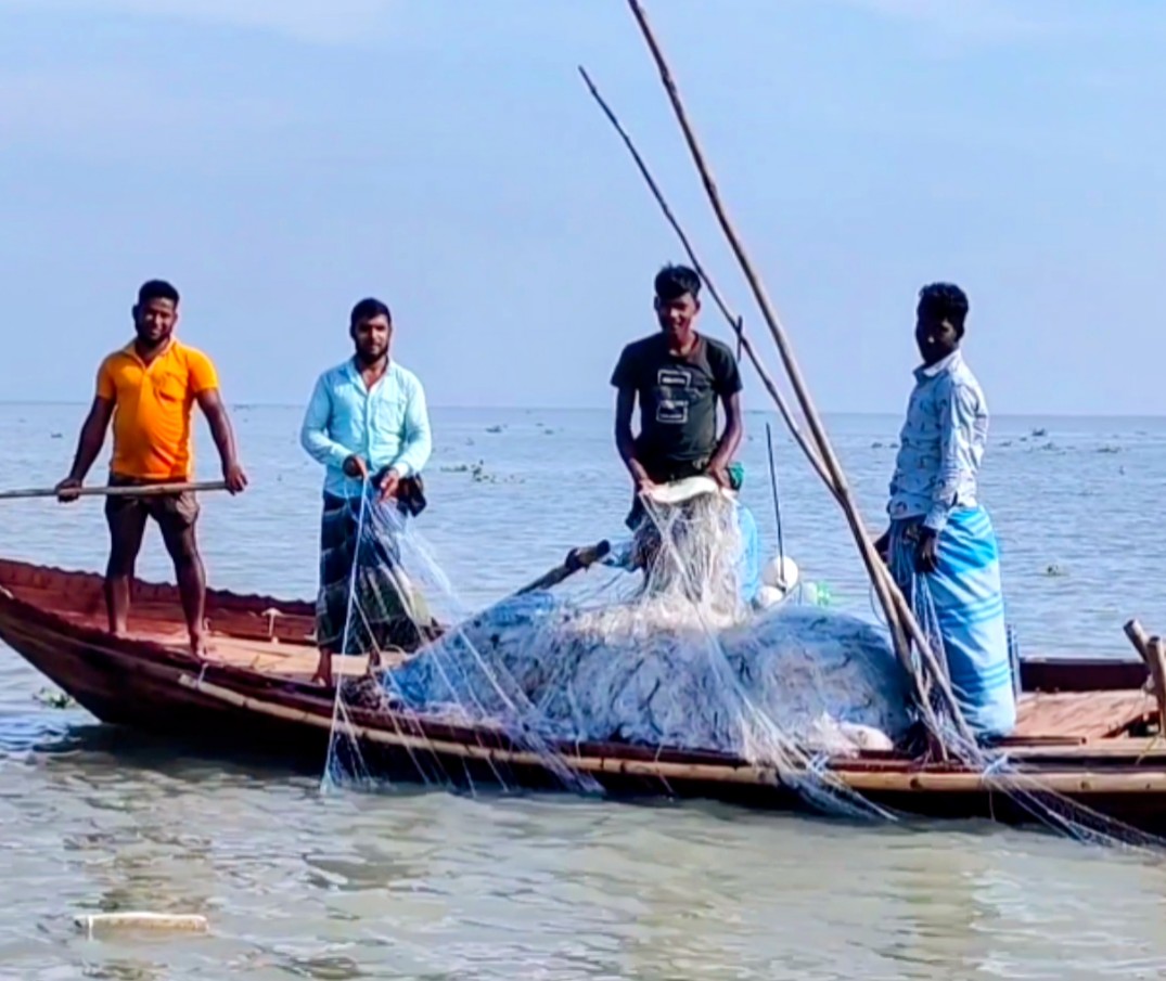 আজ থেকে ২২ দিনের ইলিশ শিকারে নিষেধাজ্ঞা শুরু