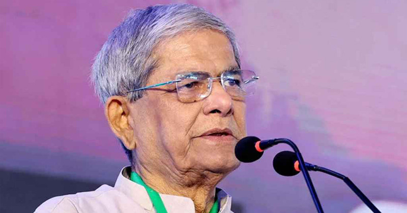 দেশ বাঁচাতে দ্রুত নির্বাচন দরকার : মির্জা ফখরুল