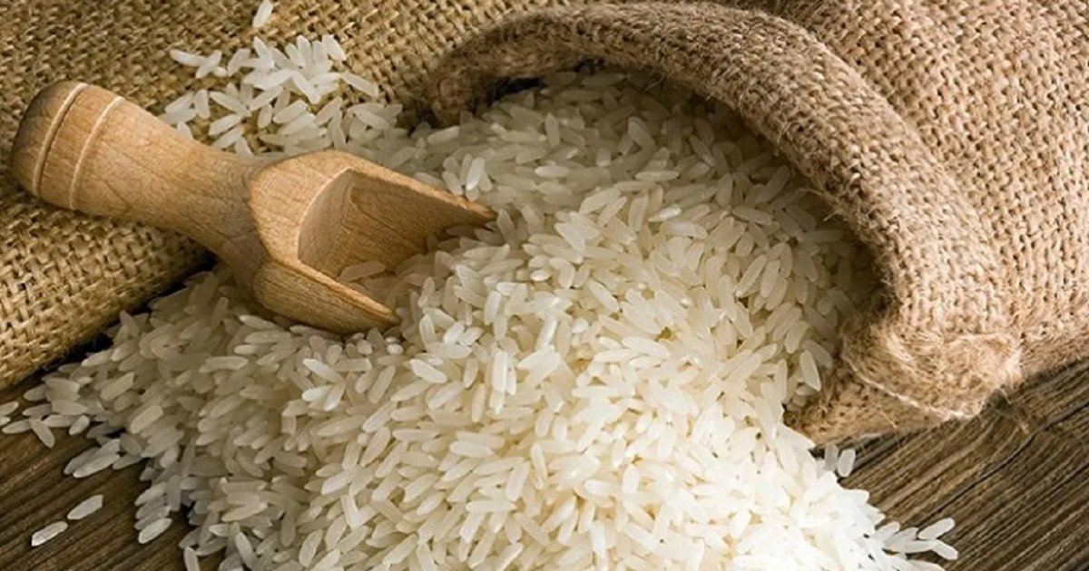 সরকার ৬ লাখ ৪৬ হাজার জেলে পরিবারকে ২৫ কেজি করে চাল দেবে, তালিকায় রয়েছে এসব জেলা