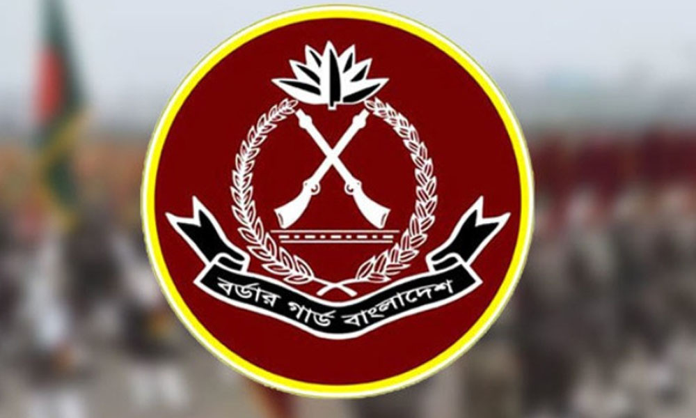 ২০২৫ সালে অবৈধভাবে সীমান্ত অতিক্রম করায় ১২৪ ভারতীয় আটক